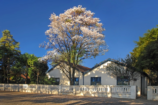 Museu Casa de Portinari